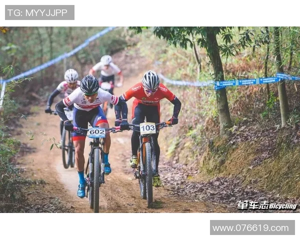 南京乒乓球队如何通过控制革新提升竞技水平与团队协作能力 南京乒乓球队如何通过控制革新提升竞技水平与团队协作能力