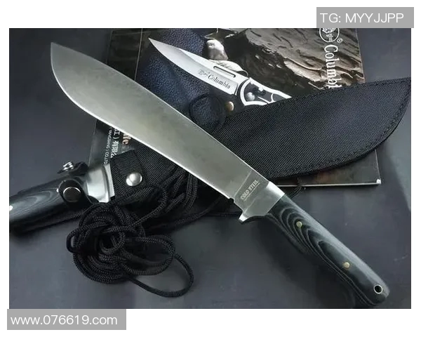 足球明星意外扔刀瞬间被捕捉引发热议网友纷纷猜测背后故事